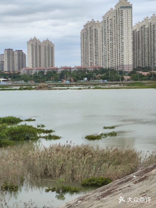 洛阳桥图片