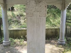 -白水寺森林公园