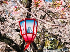 -名古屋城