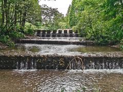 -桤木河湿地公园