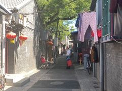 -百花深处胡同