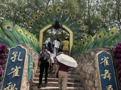 -桑干河大峡谷旅游区