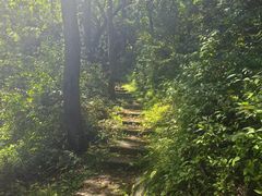 -玉渡山自然风景区