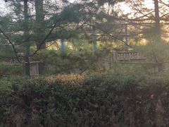 -森林公园(尖草坪区)