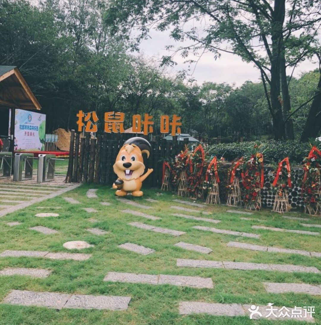 和松鼠🐿咔咔一起玩耍吧！