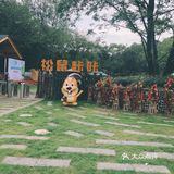 和松鼠🐿咔咔一起玩耍吧！