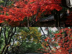 -杭州半山国家森林公园