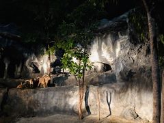 -清迈夜间动物园