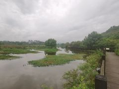 -会仙湿地