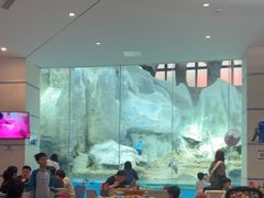 -帝企鹅自助餐厅•儿童岛•真企鹅(长隆企鹅酒店)