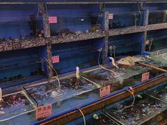 水产区-粤西稻里(富力路店)