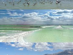 -青海湖国家重点风景名胜区