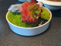 -三利音·浦之舟(滨江大道店)