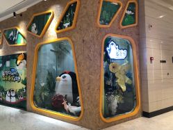 点击看大图 -七巧国萌宠乐园(龙湖天街店)