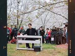 -自然谷恐龙园