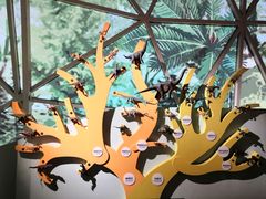 -湖南省地质博物馆