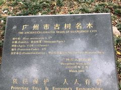 -广州中山纪念堂
