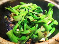 啫啫芥兰苗-广东道至正餐厅(区庄店)