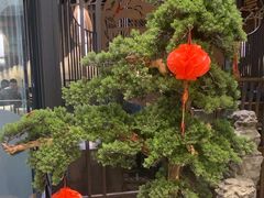 -湊湊火锅·茶憩(东城万达店)