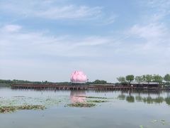 -白洋淀景区