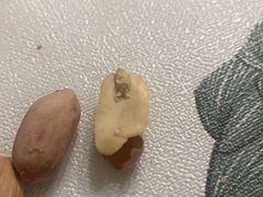-王老头炒货(天坛东路店)