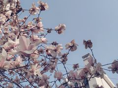-瑞幸咖啡(巴黎春天陕西路店)
