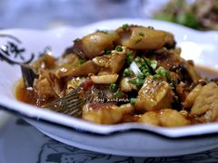 -千岛湖小鱼儿·淳安匠心农家菜