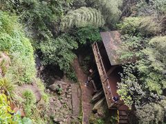 -莫干山风景区