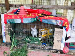 -小鱼草莓采摘园农家乐·小鱼餐厅