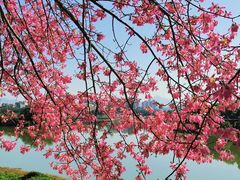 -风云岭森林公园