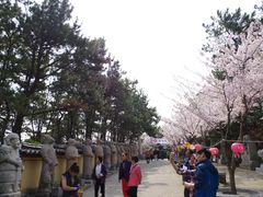 -海东龙宫寺