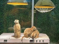 -常州海昌海洋探索馆