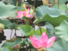 -江南大学(蠡湖校区)