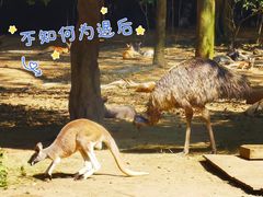 -广州长隆野生动物世界
