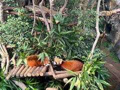 -香港海洋公园