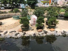 -八景休閒山莊  廣東十大名山莊