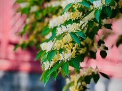 -大钟寺古钟博物馆