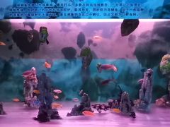 -梦幻海洋王国(吾悦广场张家港店)