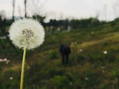 -白鹭湾湿地公园