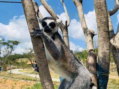-南京金牛湖风景区