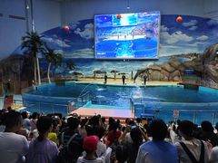 -福州罗源湾海洋世界旅游区