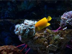 -太平洋海底世界