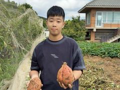-大连北马山庄