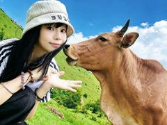 -大姆山草场