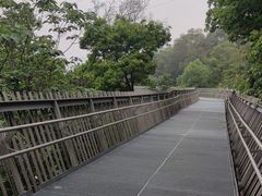 -福道