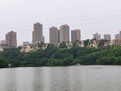 -重庆彩云湖湿地公园