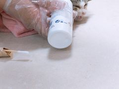 -瑞鹏宠物医院·微创内窥镜·骨外科·牙科(翠竹分院)