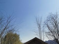 -长白岛森林公园