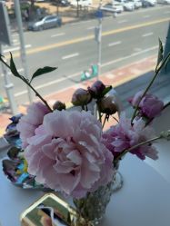 -美安心医美·美迪迈黄金微针·美拉美医疗美容