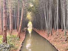 -同里国家湿地公园